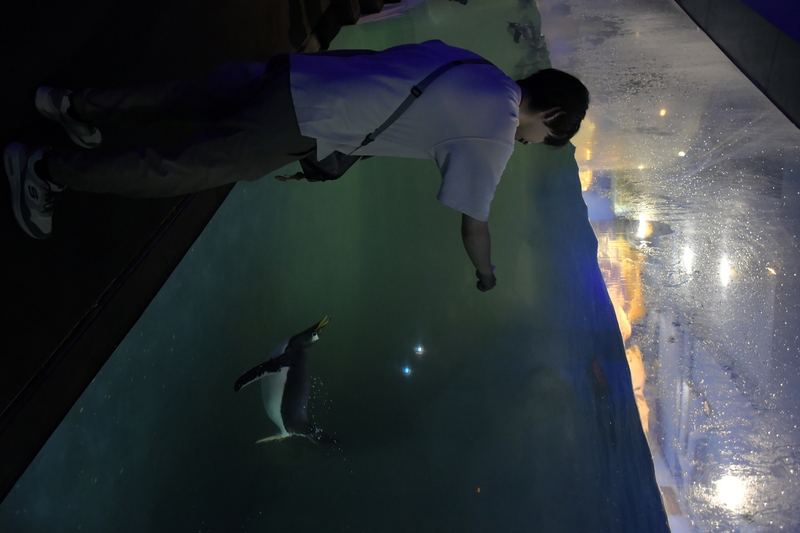 【學生活動】Marine & Biomedical Research Seminar 2026 @海生館 (2026/4/17-4/18)圖片